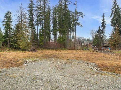 Lot B Raleigh Ave, Port Alberni, BC 