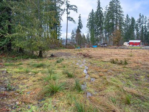 Lot B Raleigh Ave, Port Alberni, BC 