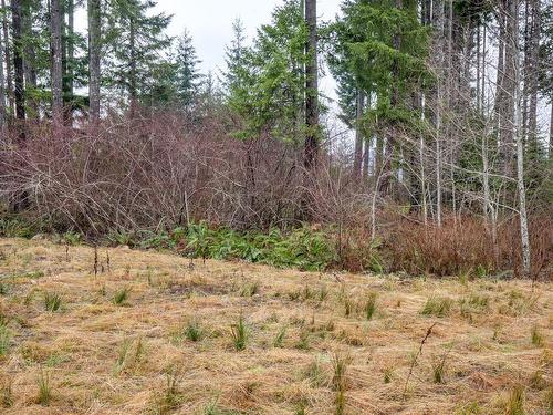 Lot B Raleigh Ave, Port Alberni, BC 