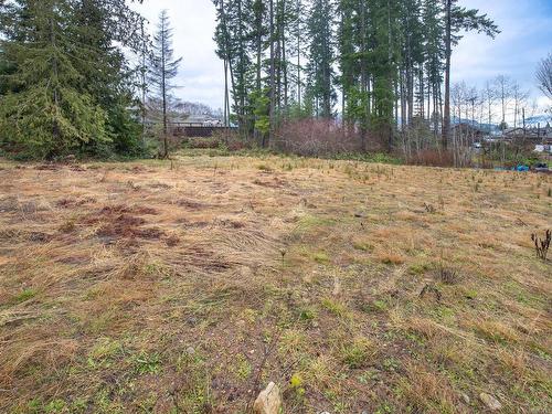 Lot B Raleigh Ave, Port Alberni, BC 