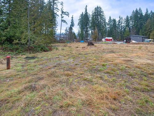 Lot B Raleigh Ave, Port Alberni, BC 