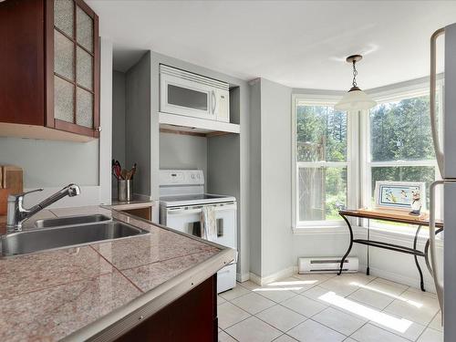 3837 Yellow Point Rd, Ladysmith, BC - Indoor Photo Showing Kitchen With Double Sink