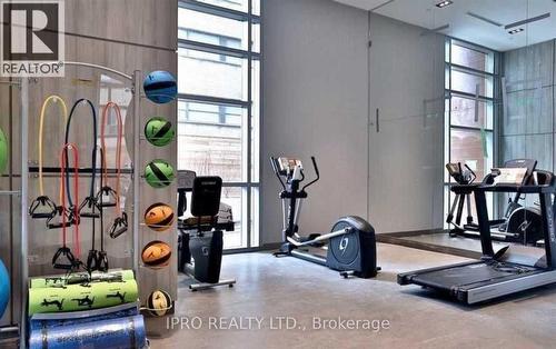 0209 - 223 St. Clair Avenue W, Toronto, ON - Indoor Photo Showing Gym Room