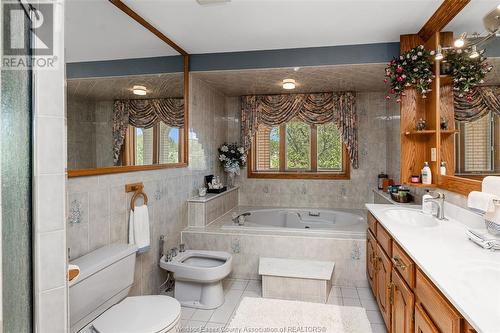 593 Dorset, Tecumseh, ON - Indoor Photo Showing Bathroom