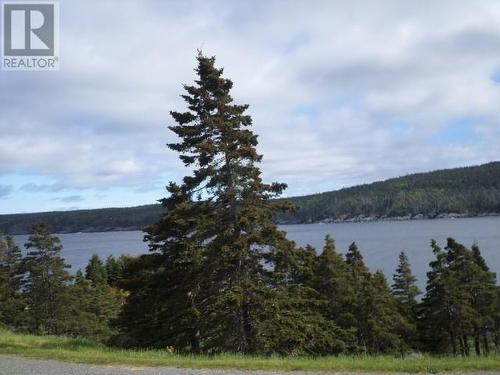 28 Northside Rd/Bread And Cheese Road, Bay Bulls, NL - Outdoor With Body Of Water With View