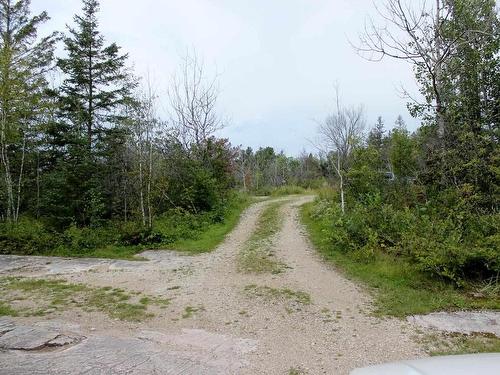 451 Aksel Road, Rainy River, ON - Outdoor With View