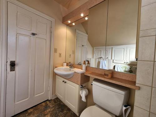 294 Van Horne Street, Thunder Bay, ON - Indoor Photo Showing Bathroom