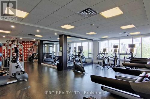 2005 - 365 Prince Of Wales Drive, Mississauga, ON - Indoor Photo Showing Gym Room