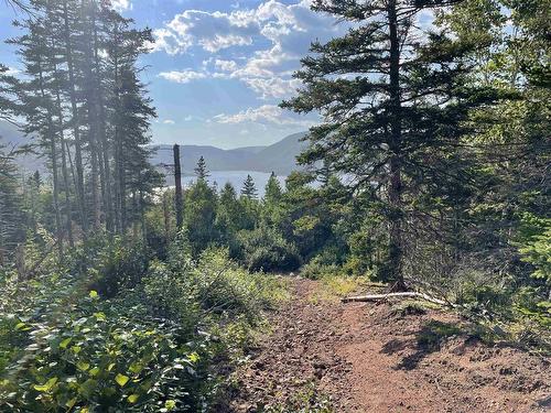 Cabot Trail, Ingonish Ferry, NS 