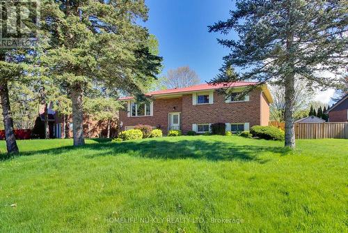4 Green Pine Avenue, Springwater, ON - Outdoor