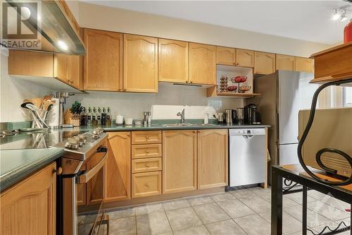 167 Central Park Drive, Ottawa, ON - Indoor Photo Showing Kitchen With Double Sink