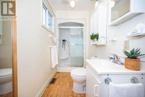 Main floor 3 pce bathroom - 1094 Madawaska Street, Calabogie, ON - Indoor Photo Showing Bathroom