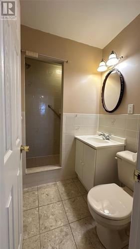 187 Thorburn Road, St. John’S, NL - Indoor Photo Showing Bathroom