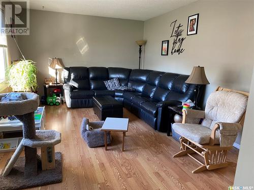 17 Mccormick Crescent, Regina, SK - Indoor Photo Showing Living Room