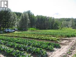 240 Riley Crossing Road Dawson Creek, BC V1G 4E8