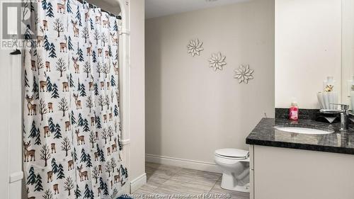 2544 Pillette Unit# Lower, Windsor, ON - Indoor Photo Showing Bathroom