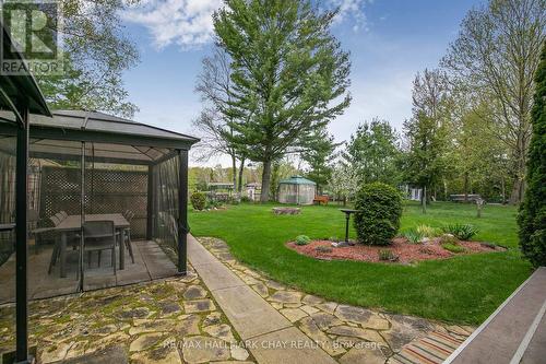 79 Stanley Road, Kawartha Lakes, ON - Outdoor With Backyard