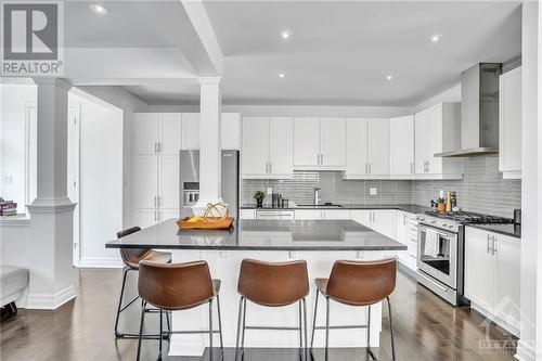 191 Lamprey Street, Ottawa, ON - Indoor Photo Showing Kitchen With Stainless Steel Kitchen With Upgraded Kitchen