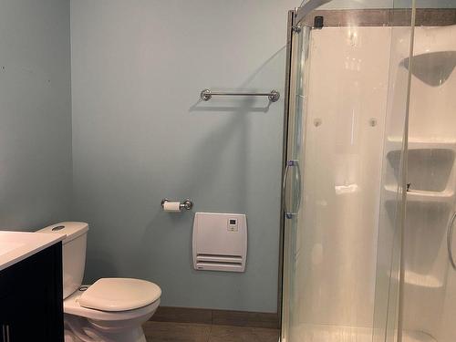 Salle de bains - 236 Rue Latreille, Trois-Rivières, QC - Indoor Photo Showing Bathroom