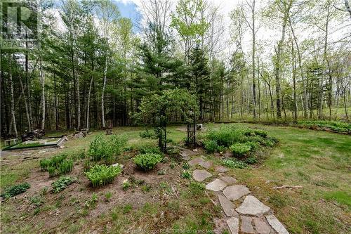 224 Canusa Dr, Riverview, NB - Outdoor