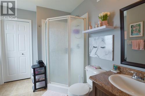 64 Rotary Drive, St. John'S, NL - Indoor Photo Showing Bathroom