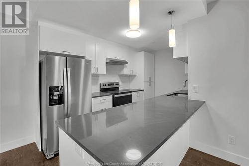 2600 Sandwich West Parkway Unit# 210, Lasalle, ON - Indoor Photo Showing Kitchen With Upgraded Kitchen