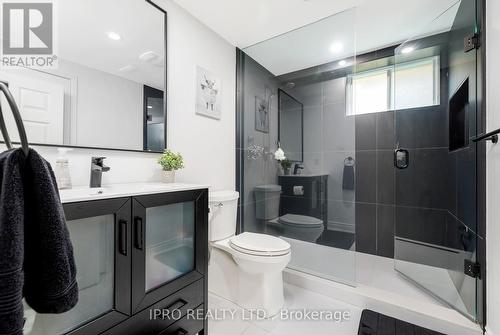 204 Main Street S, Halton Hills, ON - Indoor Photo Showing Bathroom