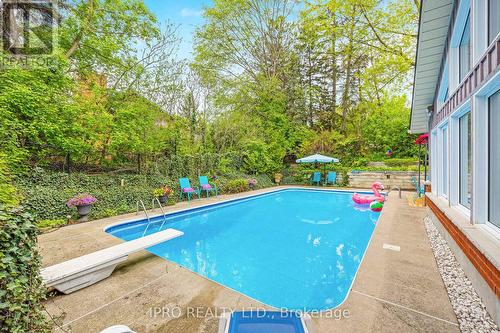 204 Main Street S, Halton Hills, ON - Outdoor With In Ground Pool