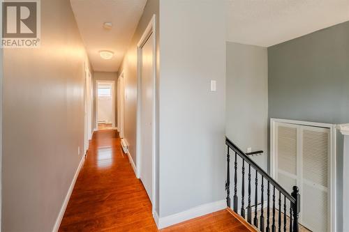 16 Whiteley Drive, Mount Pearl, NL - Indoor Photo Showing Other Room