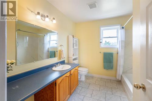 37 Alderberry Lane, St. John'S, NL - Indoor Photo Showing Bathroom