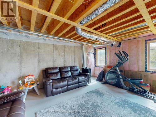 256 Silk Twist Drive, East Gwillimbury, ON - Indoor Photo Showing Basement