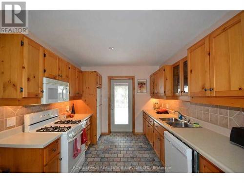 119 Gary Avenue, Hamilton, ON - Indoor Photo Showing Kitchen With Double Sink