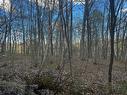 Land/Lot - Boul. De La Gabelle, Saint-Étienne-Des-Grès, QC 