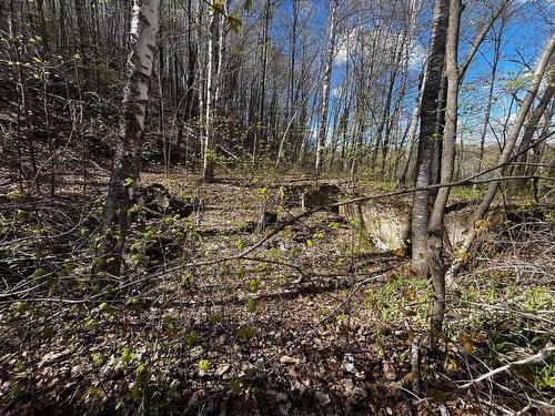 Terre/Terrain - Boul. De La Gabelle, Saint-Étienne-Des-Grès, QC 