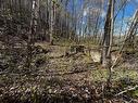 Land/Lot - Boul. De La Gabelle, Saint-Étienne-Des-Grès, QC 