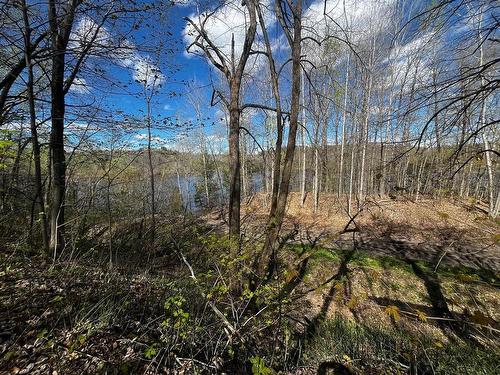 Land/Lot - Boul. De La Gabelle, Saint-Étienne-Des-Grès, QC 