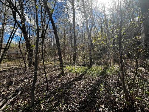 Land/Lot - Boul. De La Gabelle, Saint-Étienne-Des-Grès, QC 