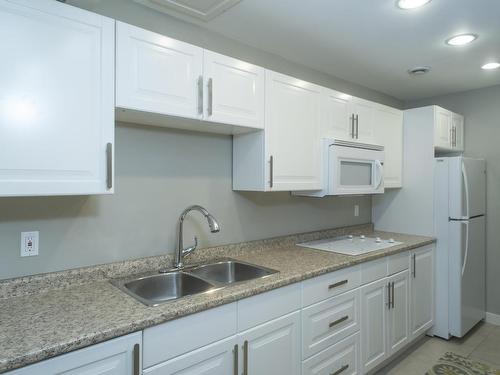 149 Greenpark Crescent, Thunder Bay, ON - Indoor Photo Showing Kitchen With Double Sink