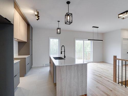 Cuisine - 1401-13570 Rue Des Saules, Mirabel, QC - Indoor Photo Showing Kitchen With Double Sink