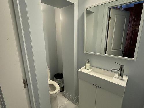 367 Grace St, Toronto, ON - Indoor Photo Showing Bathroom