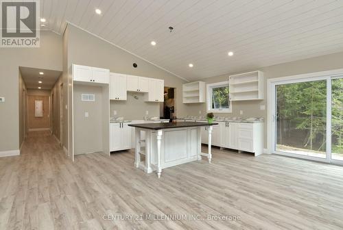 581 Pike Bay Road, Northern Bruce Peninsula, ON - Indoor Photo Showing Kitchen With Upgraded Kitchen