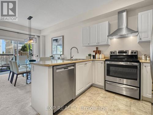 23 Padua Crescent, Hamilton, ON - Indoor Photo Showing Kitchen With Upgraded Kitchen