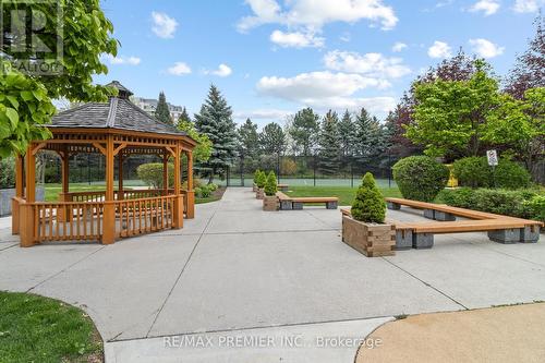 816 - 9 Northern Heights Drive, Richmond Hill, ON - Outdoor With Backyard