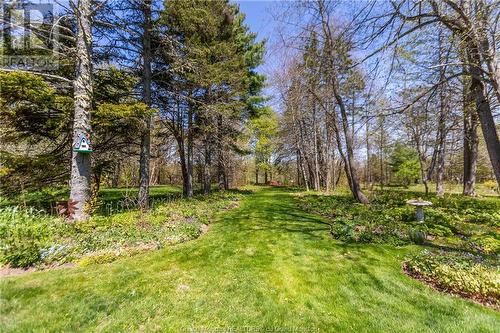 91 York St, Sackville, NB - Outdoor With View