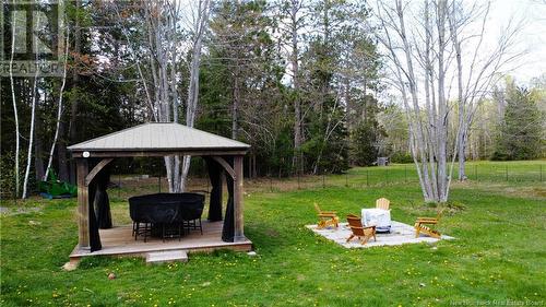 313 Route 102 Route, Burton, NB - Outdoor With Backyard