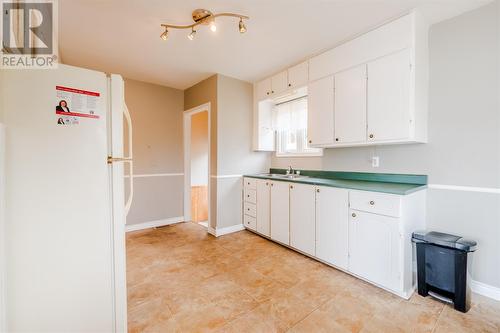 696 Main Road, Mount Carmel, NL - Indoor Photo Showing Kitchen With Double Sink