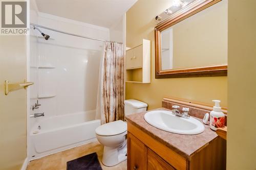 696 Main Road, Mount Carmel, NL - Indoor Photo Showing Bathroom