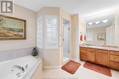 356 Pinehurst, Lakeshore, ON - Indoor Photo Showing Bathroom