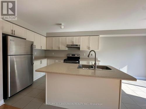 205 Palmer Lane, Woodstock, ON - Indoor Photo Showing Kitchen With Double Sink