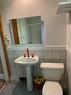 38 North Oval, Hamilton, ON  - Indoor Photo Showing Bathroom 